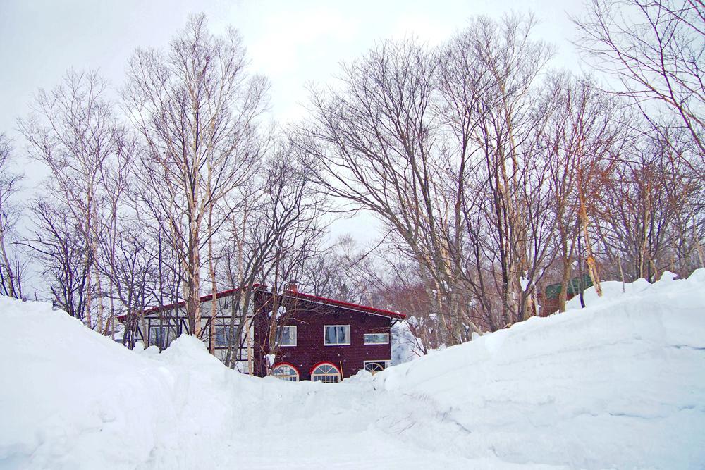 Annupuri Oasis Lodge Нисэко Экстерьер фото